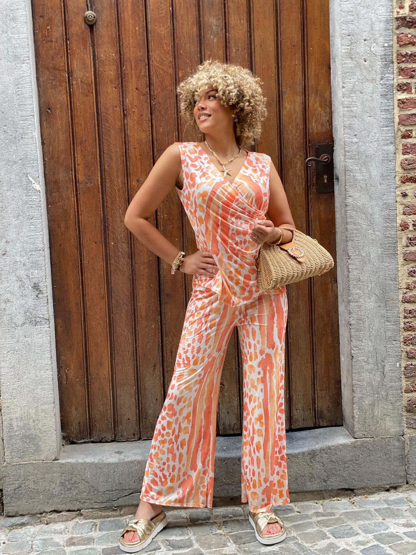 Ensemble Vanessa