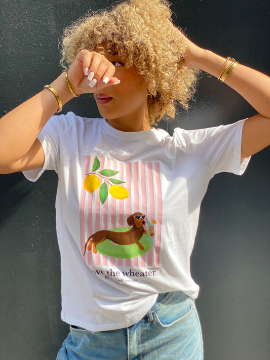 T-shirt teckel