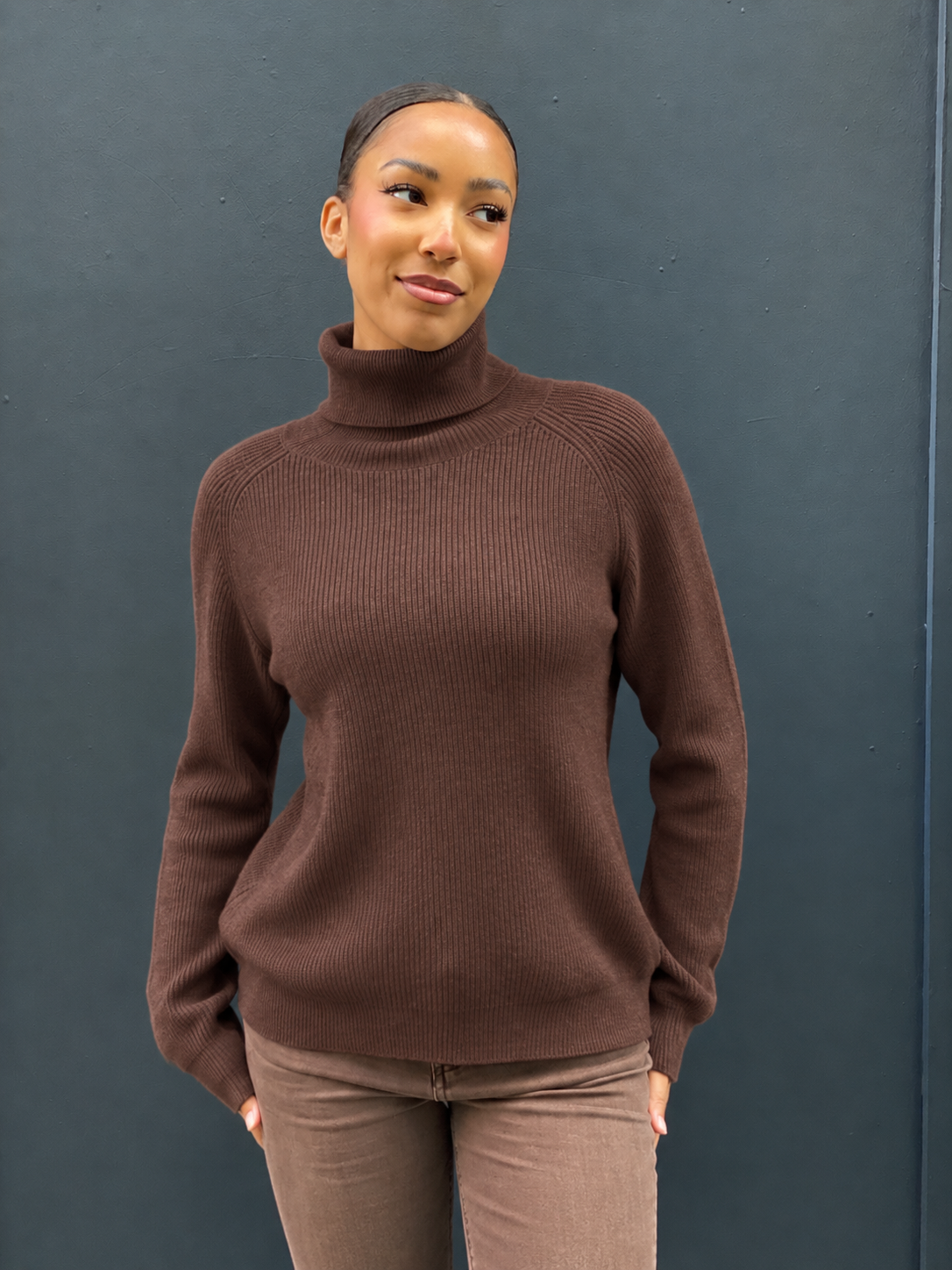 Pull col roulé Flo