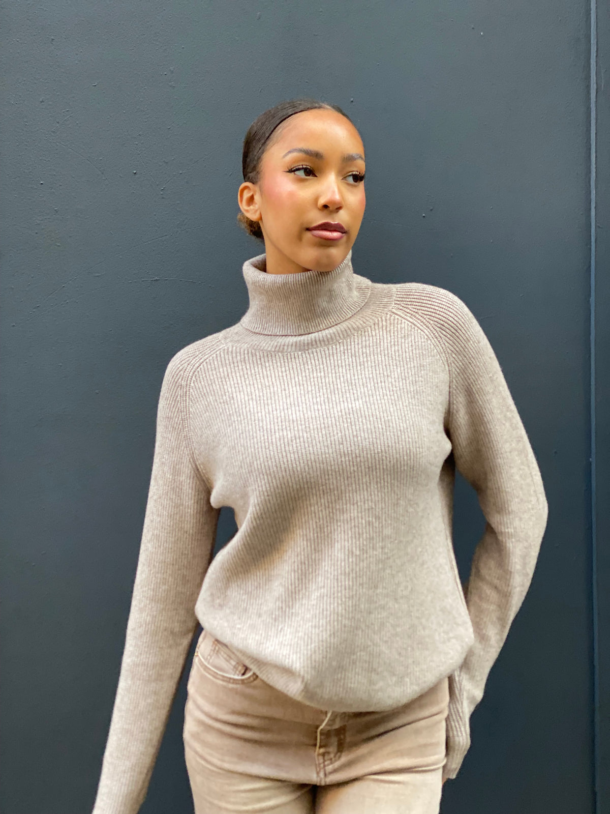 Pull col roulé Flo