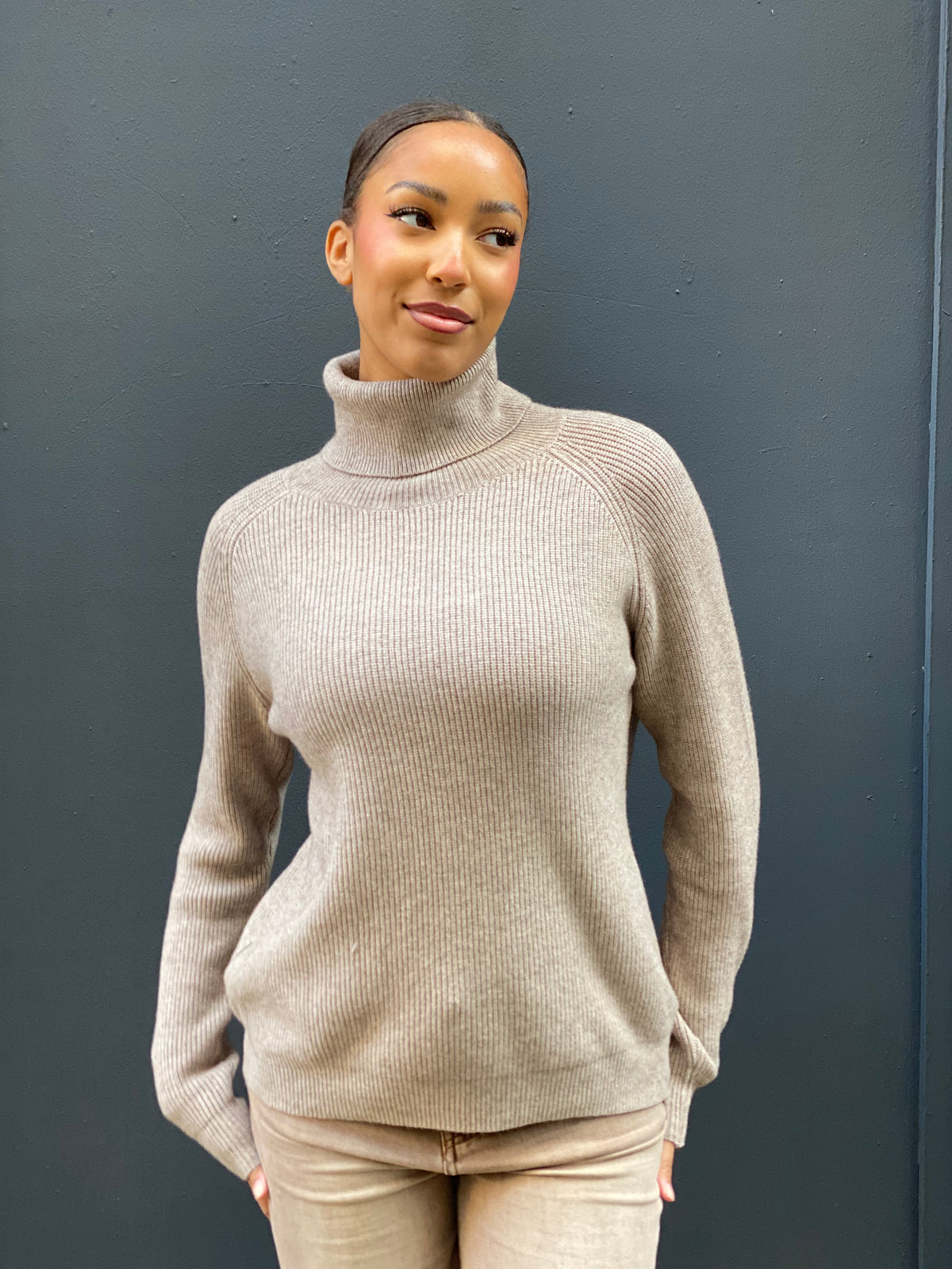 Pull col roulé Flo