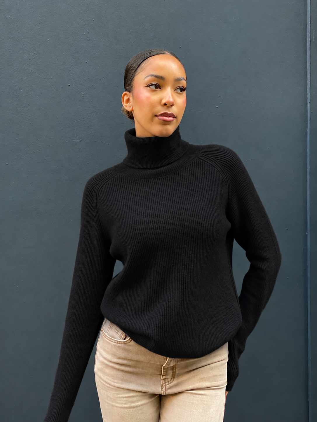 Pull col roulé Flo