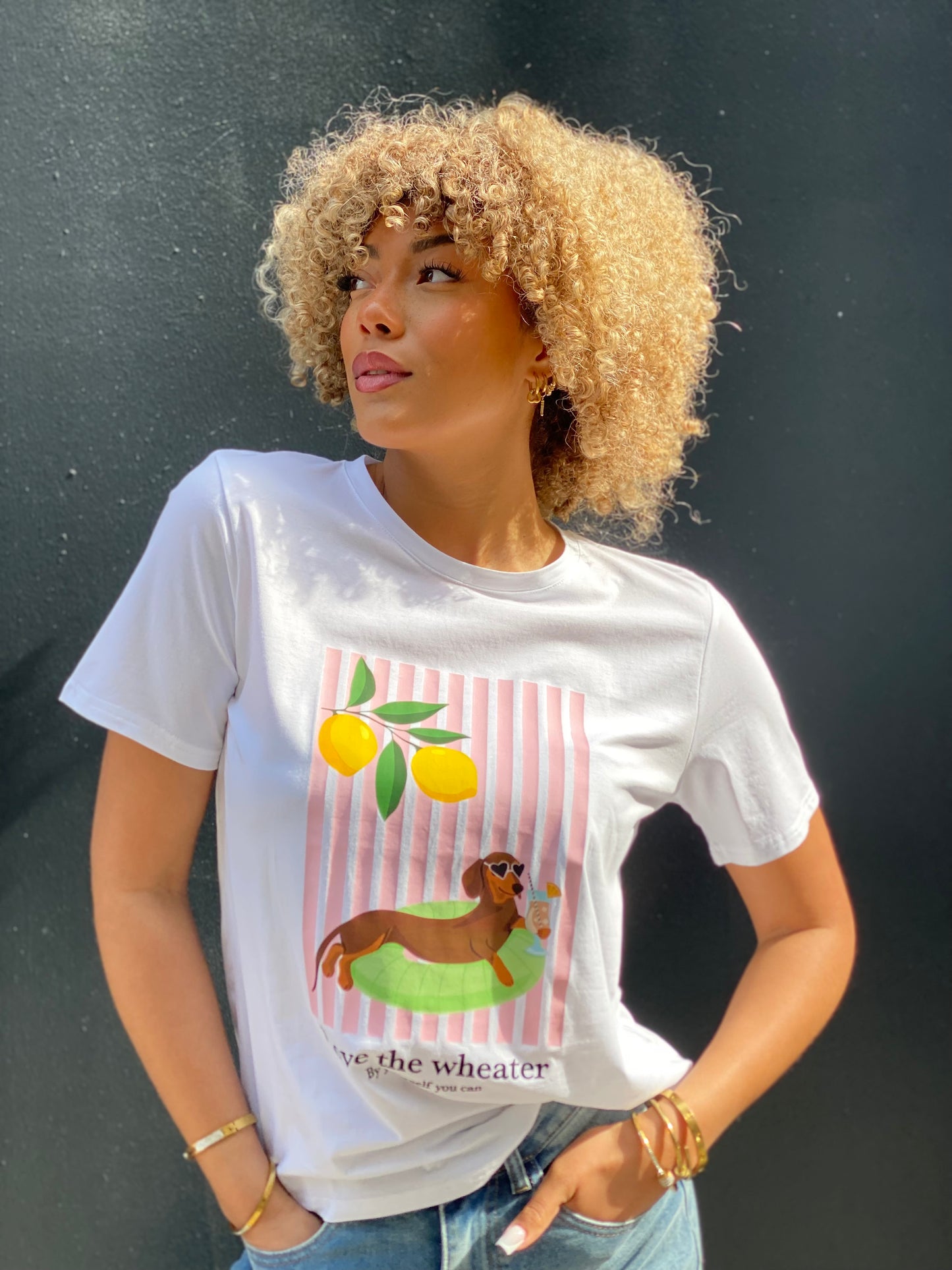 T-shirt teckel