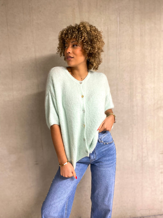 Pull Laura menthe